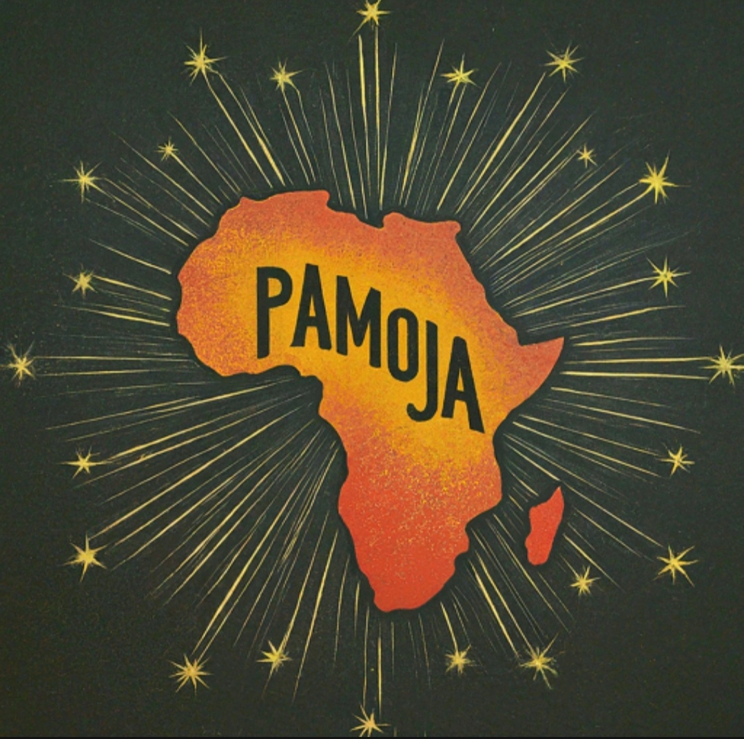 Pamoja Fin